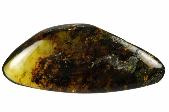 Polished Chiapas Amber ( g) - Mexico #114947